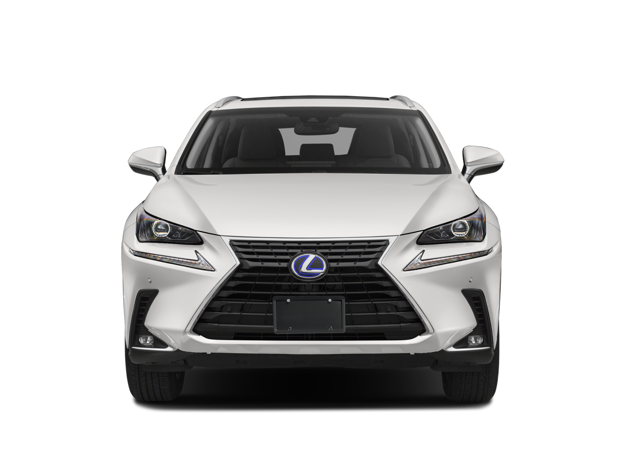 2019 Lexus NX 300h