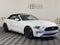 2023 Ford Mustang EcoBoost