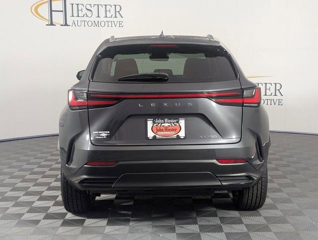 2024 Lexus NX 250 NX 250